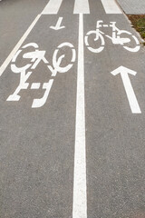 Obraz premium A bicycle path on the asphalt, a bicycle is drawn.