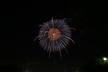 日本の芸術花火
