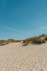 Sand dunes with grass and blue sky. Sandy beach nature landscape and summer background