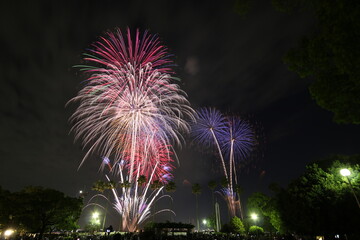 日本の夜空の花火