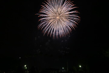 日本の夜空の花火