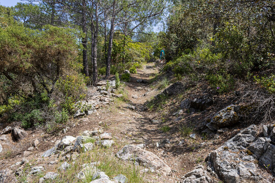 Nature trail in Limassol National Forest Park, Cyprus