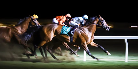 Deurstickers horse racing horse © Rafael