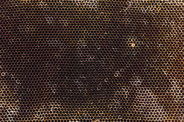 Hexagonal channel background and texture of dry deserted honeycomb.