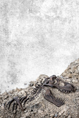 Tyrannosaurus rex fossil skeleton in the ground. digging dinosaur fossils concept with stone wall dark background and copy space.