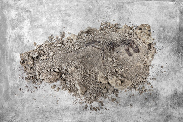 Fototapeta premium Tyrannosaurus rex fossil skeleton in the ground. digging dinosaur fossils concept with stone wall dark background.
