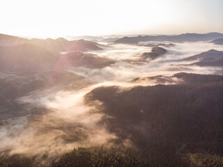morning mist in Carpathians