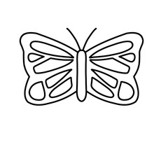butterfly vector