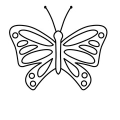 butterfly vector