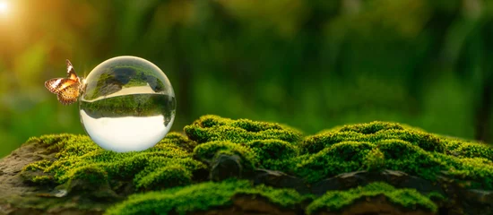 Gordijnen World environment day concept.Globe Glass with butterfly. circular economy renewable energy . sustainable development goals.Environmental protection renewable energy, green business, ESG © HappyBall3692