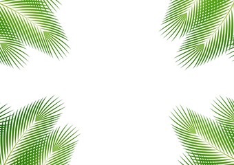 Fototapeta na wymiar Coconut Leaves or Green Palm Leaves. Summer Background Frame. Vector Illustration Isolated on White Background. 