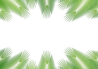 Fototapeta na wymiar Coconut Leaves or Green Palm Leaves. Summer Background Frame. Vector Illustration Isolated on White Background. 