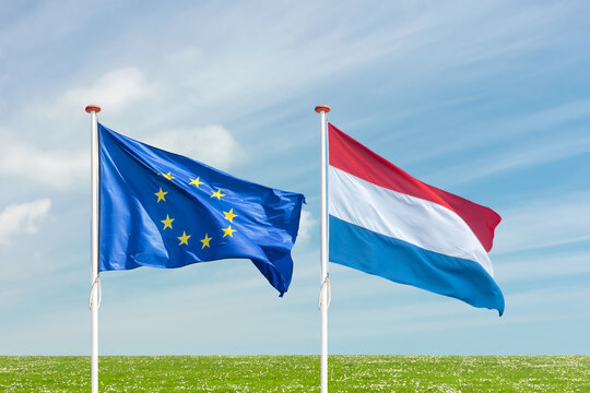 Waving flags of the European Union and The Netherlands in front of a grass meadow with blooming flowers and blue sky