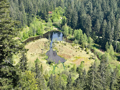 Ellbachsee