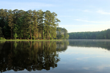 reflection of trees in the water