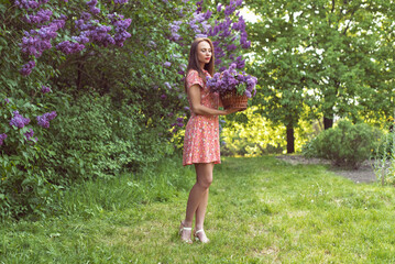 Evening in the botanical garden when the lilac blossomed