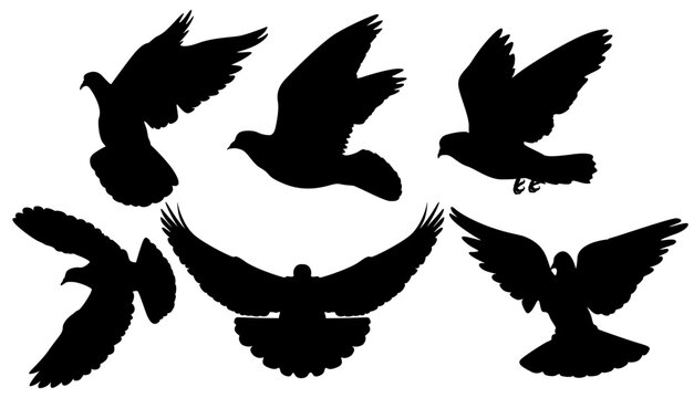 Set vector flying dove birds silhouette icon. Christianity symbol illustration