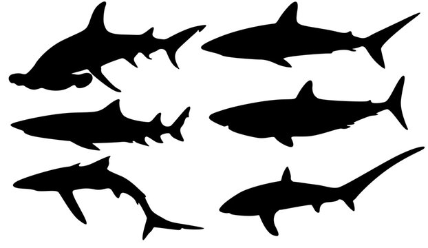 Set Vector collections sharks black silhouette. Dangerous ocean animal icon illustration