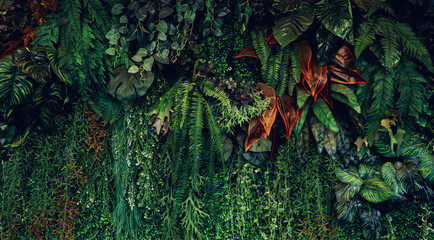 Close up group of background tropical green leaves texture and abstract background. Tropical leaf nature concept.