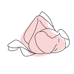 Rose flower bud line art with pink shape. Hand drawn realistic detailed vector illustration. Black and white clipart.