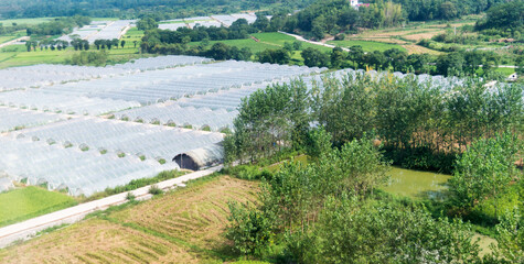 Plastic greenhouses in farmland, China