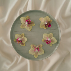 Creative minimal idea with exotic orchids on silk background. Flat lay.
