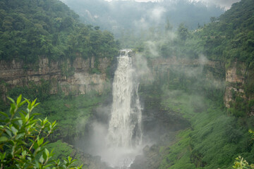 Immense cascade dans la jungle tropicale