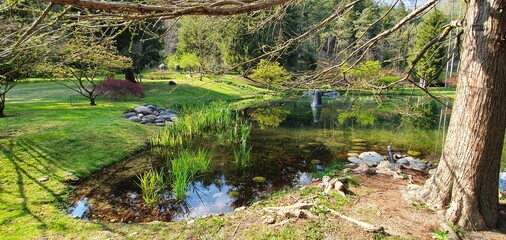 Parco delle Terme de Comano