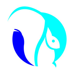 squirrel icon illustration vector