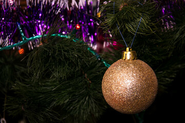 Shiny golden ball on green Christmas tree with blurred dark background