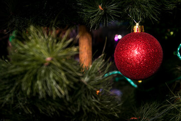 Shiny red ball on green Christmas tree with blurred dark background