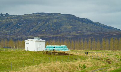 farm in Iceland. agriculture in precarious conditions. landscape.