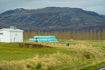 farm in Iceland. agriculture in precarious conditions. landscape.