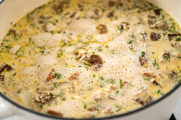 Creamy wild mushroom soup