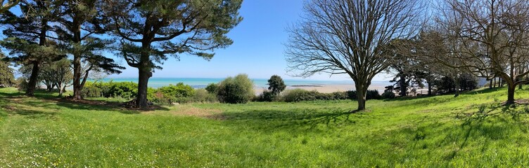 Fototapeta premium trees in the field over the sea in Saint Quay