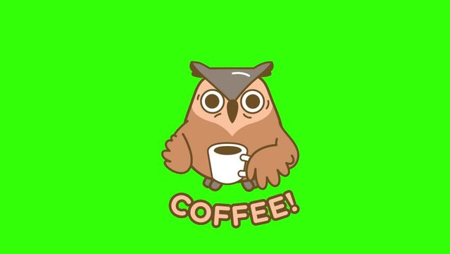 Cartoon Brown Owl with Coffee Typography animation background, green screen