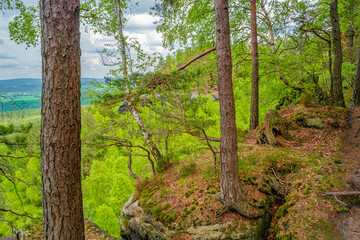 Magical enchanted fairytale forest, sandstone rocks named Kleinhennersdorfer Stein and ancient beech trees at the hiking trail in the national park Saxon Switzerland, Bad Schandau, Germany.