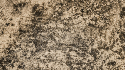 White walls that begin to mold due to aging and are exposed to rainwater. Weathered old wall textures.