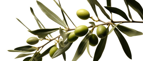 Fototapeta premium Bunch of olives isolated on transparent background. Generative Ai