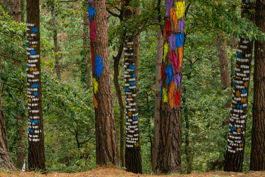 bosque de Oma,   ,1984, Agustin Ibarrola,Kortezubi, Vizcaya,Euzkadi, Spain