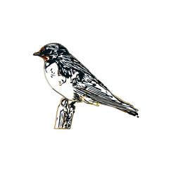 Swallow bird sketch with a transparent background