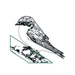 Swallow bird sketch with a transparent background