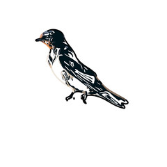 Swallow bird sketch with a transparent background