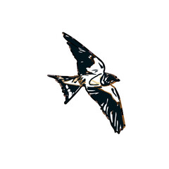 Swallow bird sketch with a transparent background