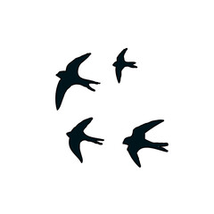 Swallow bird sketch with a transparent background