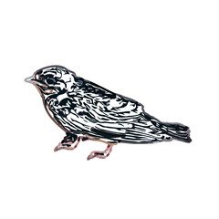 Swallow bird sketch with a transparent background
