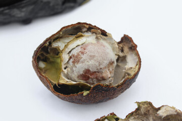 Rotten avocado. Bad avocado with mold and rot.