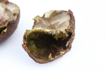 Avocado with mold. White mold on avocado.