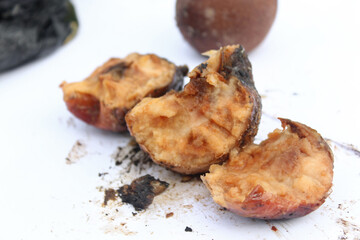 Rotten spoiled apple. Apple with mold and maggots.
