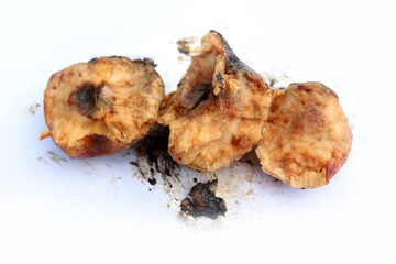 Rotten spoiled apple. Apple with mold and maggots.